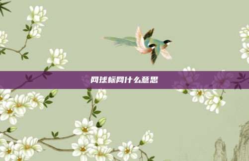 网球标网什么意思