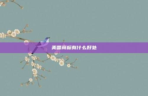 美国商标有什么好处