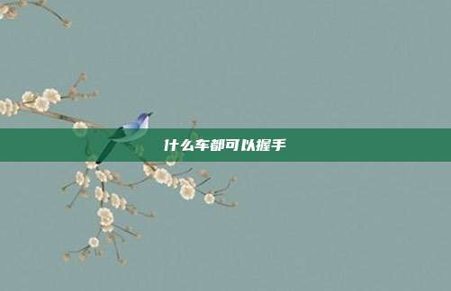 什么车都可以握手