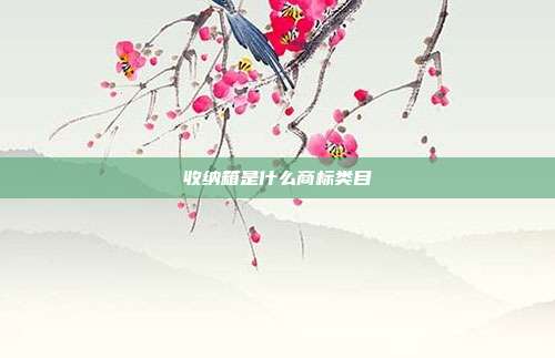 收纳箱是什么商标类目