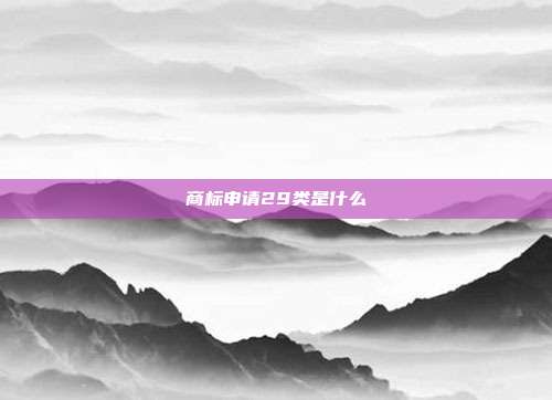 商标申请29类是什么