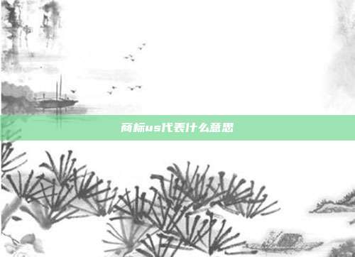 商标us代表什么意思