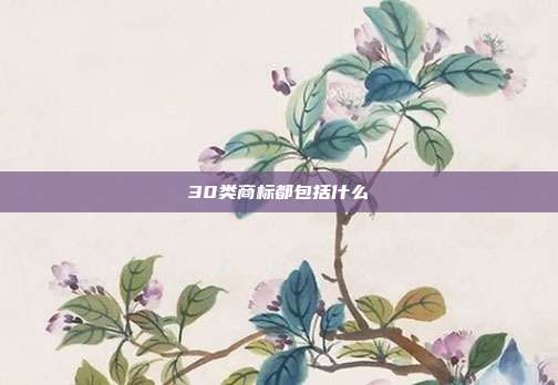 30类商标都包括什么
