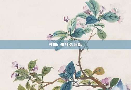 S加c是什么商标