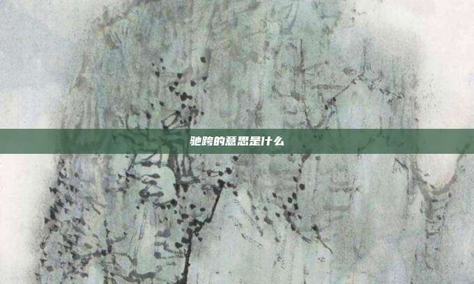 驰跨的意思是什么