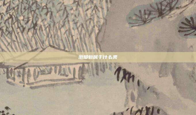 泡脚包属于什么类