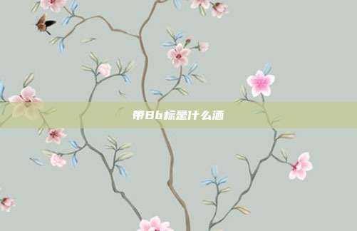 带Bb标是什么酒