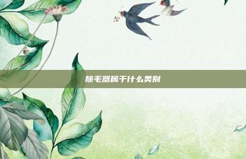 除毛器属于什么类别