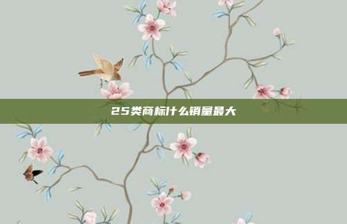 25类商标什么销量最大
