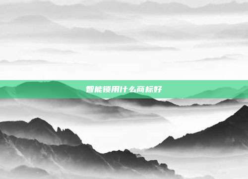 智能锁用什么商标好