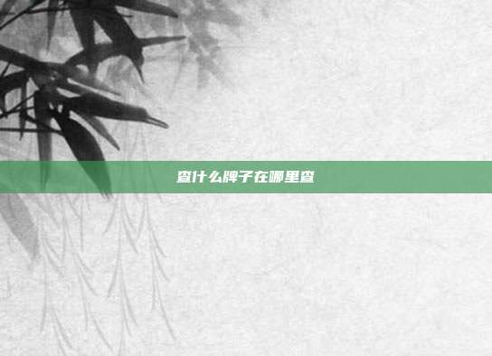 查什么牌子在哪里查
