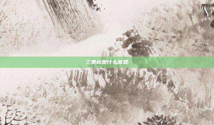 三贯标是什么意思