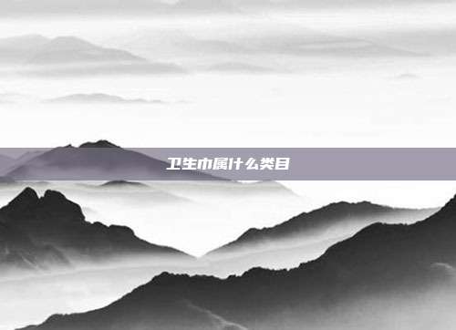 卫生巾属什么类目