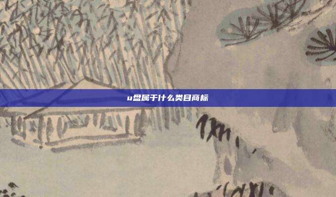 u盘属于什么类目商标