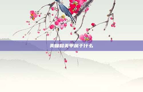 美瞳和美甲属于什么