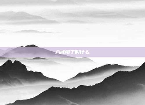 八戒帽子叫什么