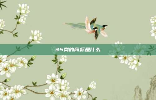 35类的商标是什么