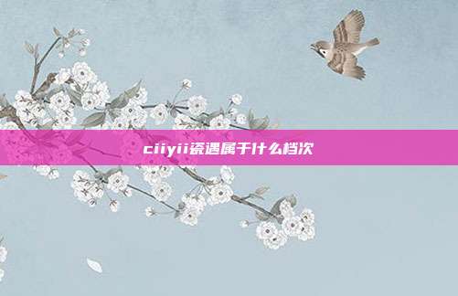 ciiyii瓷遇属于什么档次