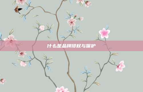 什么是品牌侵权与保护