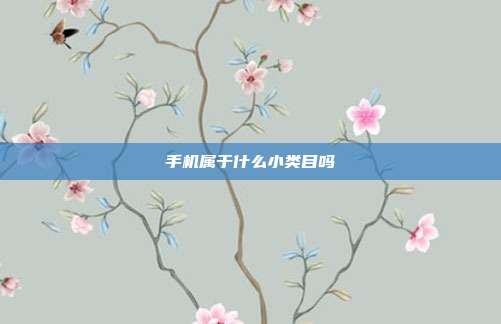 手机属于什么小类目吗