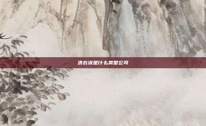 洗衣液是什么类型公司