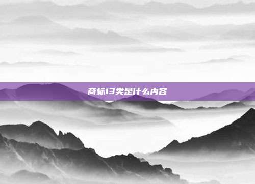 商标13类是什么内容
