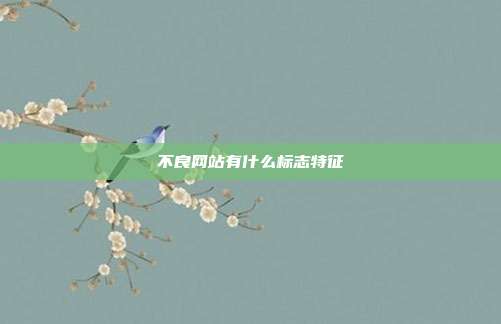 不良网站有什么标志特征