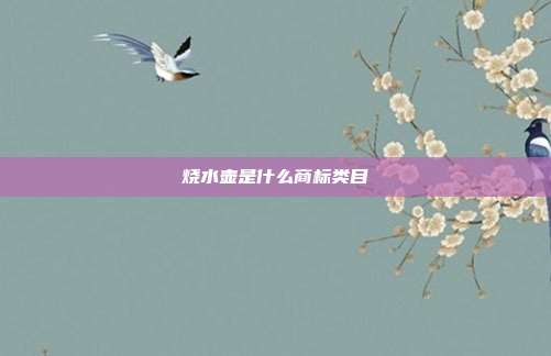 烧水壶是什么商标类目