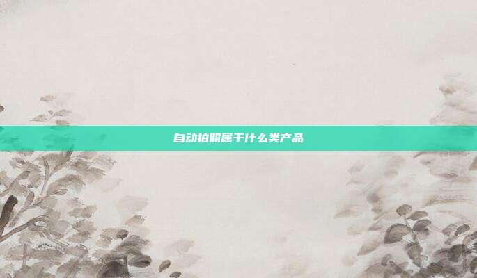 自动拍照属于什么类产品