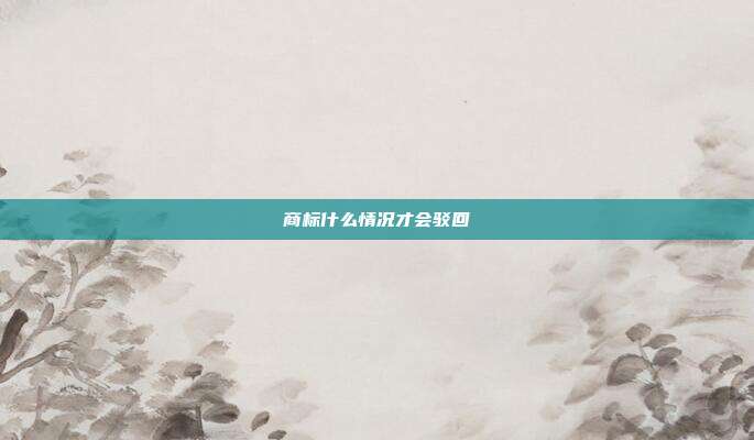 商标什么情况才会驳回