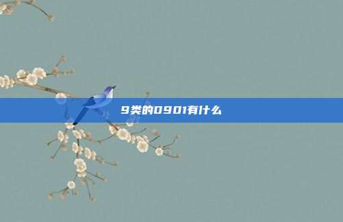 9类的0901有什么