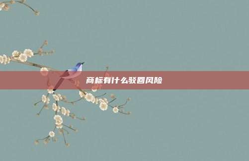 商标有什么驳回风险