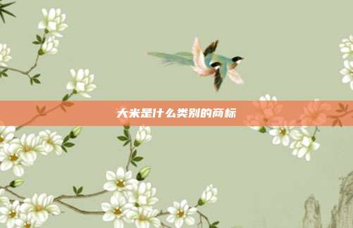 大米是什么类别的商标