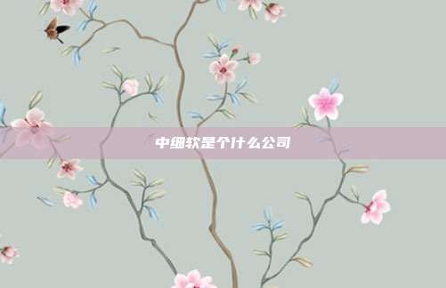 中细软是个什么公司