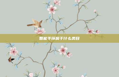 智能手环属于什么类目