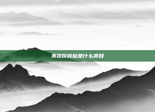 美容仪商标是什么类目