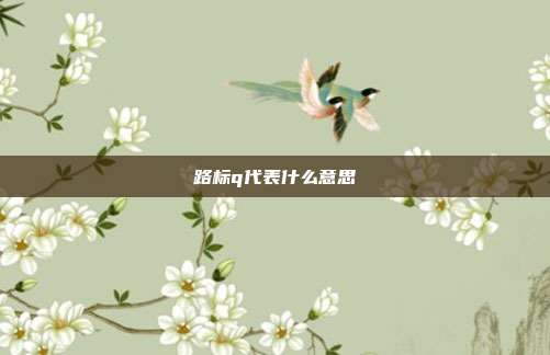 路标q代表什么意思