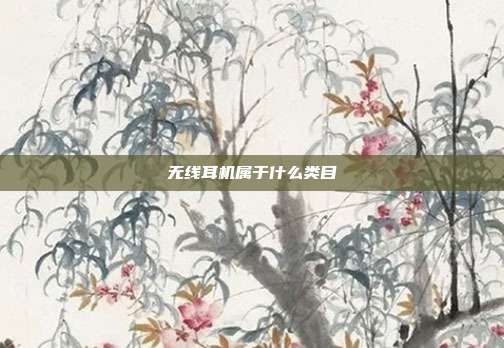 无线耳机属于什么类目