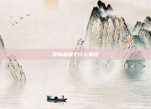 塑料盒属于什么类目