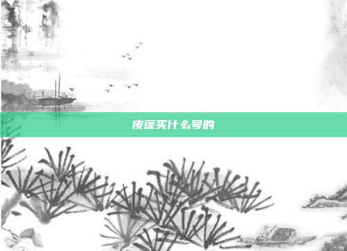 皮蓬买什么号的
