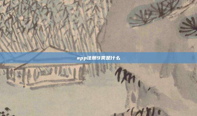 app注册9类是什么