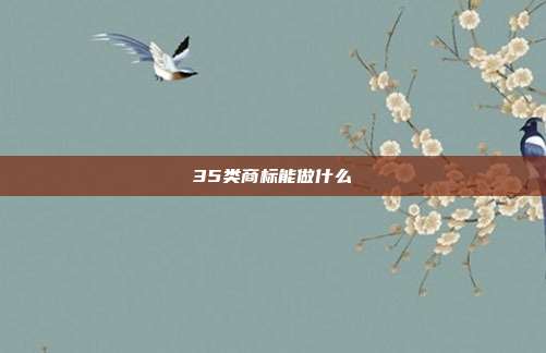 35类商标能做什么
