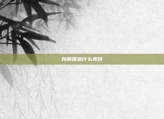 按摩器选什么类目
