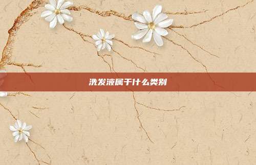 洗发液属于什么类别