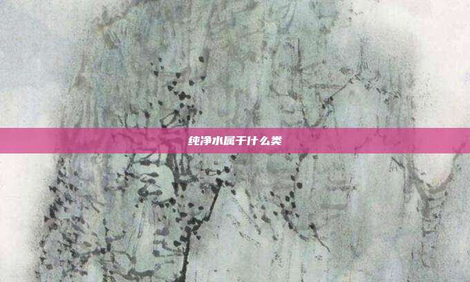 纯净水属于什么类