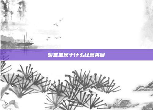 暖宝宝属于什么经营类目