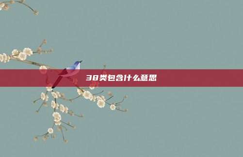 38类包含什么意思