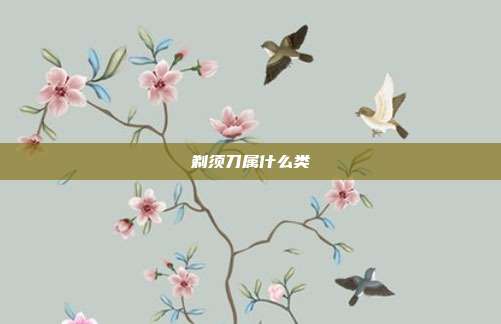 剃须刀属什么类