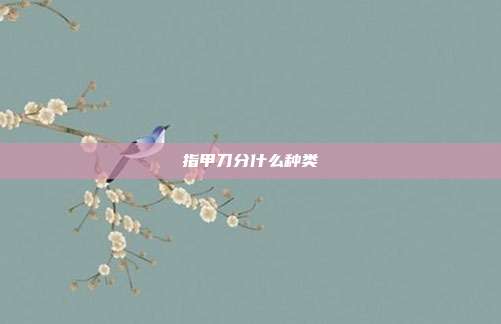 指甲刀分什么种类