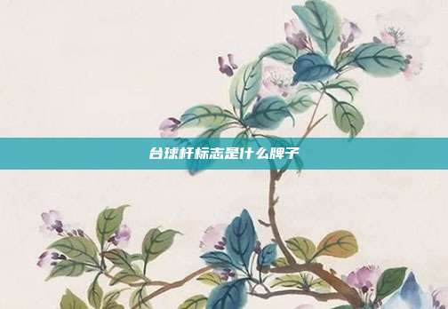 台球杆标志是什么牌子